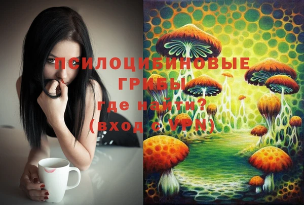 молекула духа Ишимбай