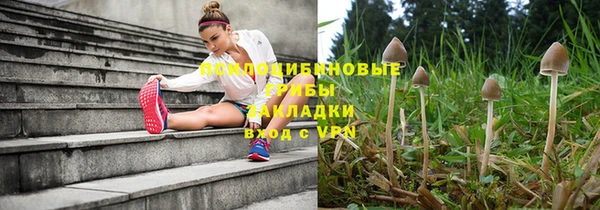 герыч Вязьма