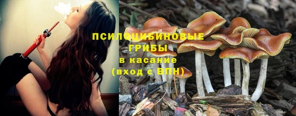 герыч Вязьма