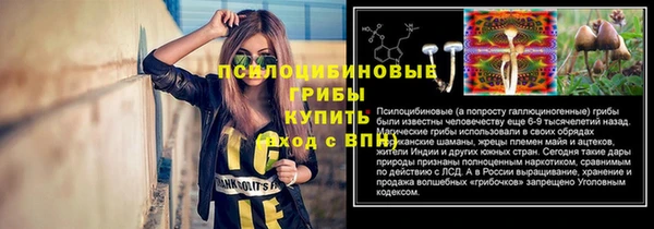 герыч Вязьма