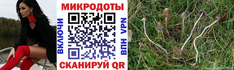 наркота  Олёкминск  Галлюциногенные грибы мицелий 