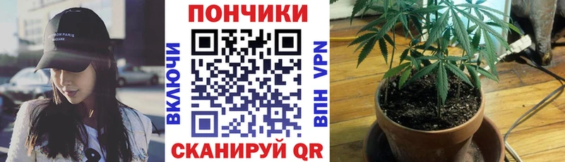 блэк спрут как зайти  Олёкминск  Бошки марихуана тримм 
